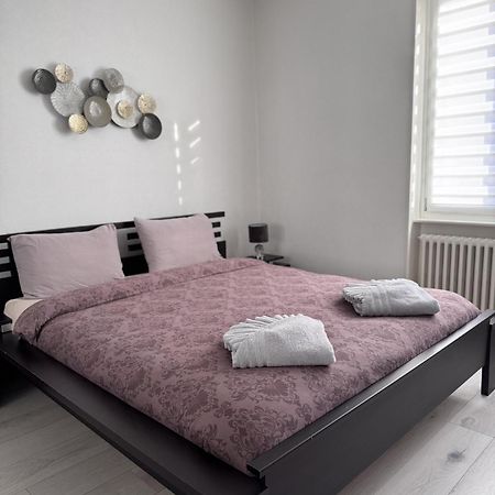 Appartement Des 3 Pays. 2 Mn De Bale+ Free Parking Сен-Луї Екстер'єр фото