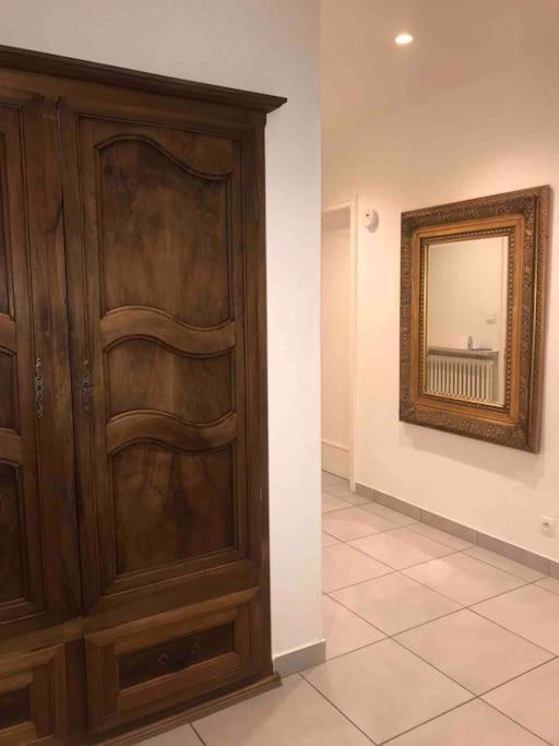 Appartement Des 3 Pays. 2 Mn De Bale+ Free Parking Сен-Луї Екстер'єр фото