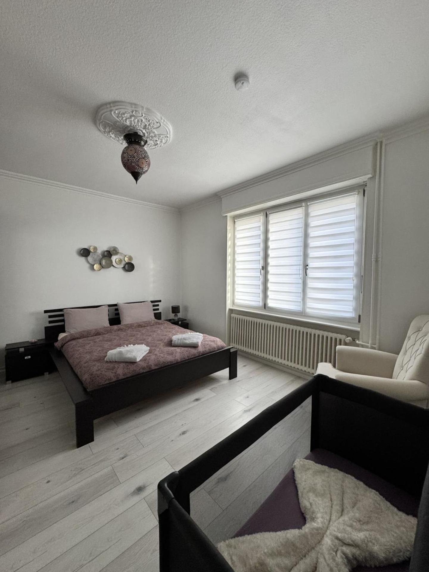 Appartement Des 3 Pays. 2 Mn De Bale+ Free Parking Сен-Луї Екстер'єр фото